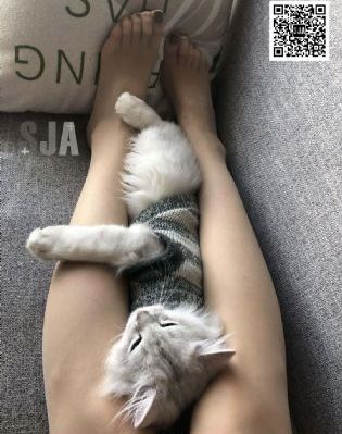 亚洲天堂专区_国产精品视频